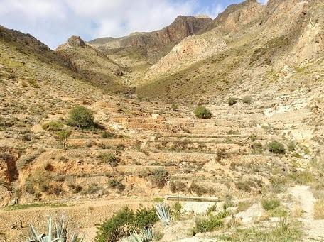 Cortijo El Molino Apartamento"El Balconcito" Níjar Kültér fotó